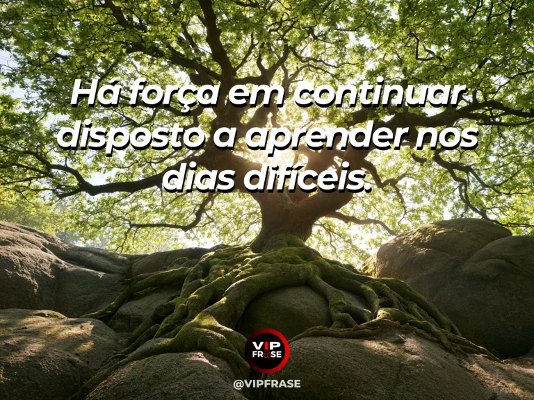 Mensagem de força sobre resistência para aprender, com sequoias monumentais e árvore jovem entre as raízes.