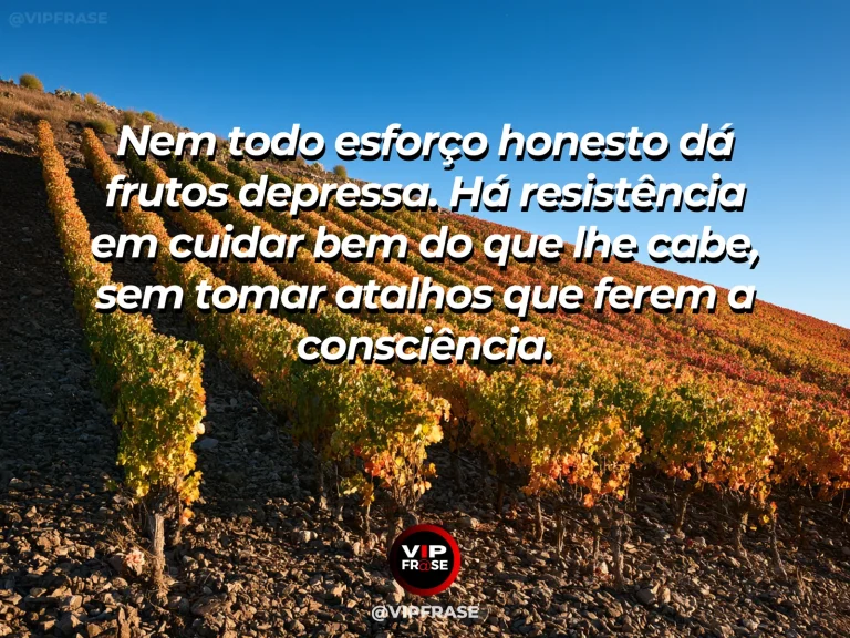 Mensagem de força sobre resistir à pressa dos resultados, com carvalho firme junto ao lago sob céu aberto depois da chuva.
