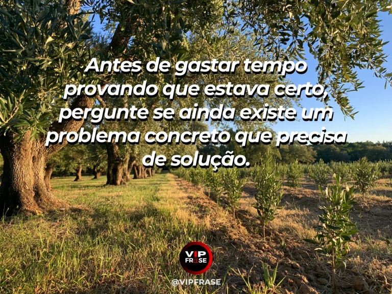 Frase de sabedoria sobre prioridade à solução de problemas, com ferramentas simples arrumadas ao lado de ponte de jardim restaurada.