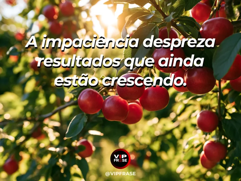 Mensagem de sabedoria sobre paciência com crescimento, com jardim de flores em vários estágios de abertura.