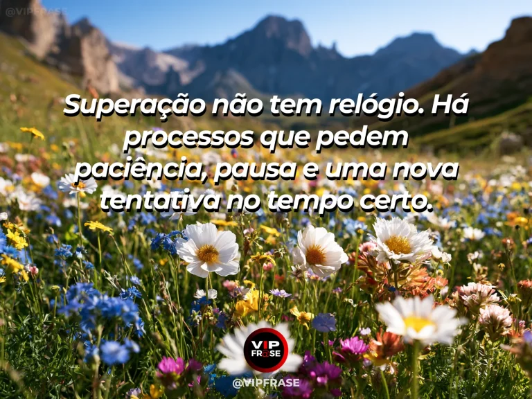Mensagem de superação em jardim com flores em diferentes estágios, representando processos que amadurecem em ritmos próprios.