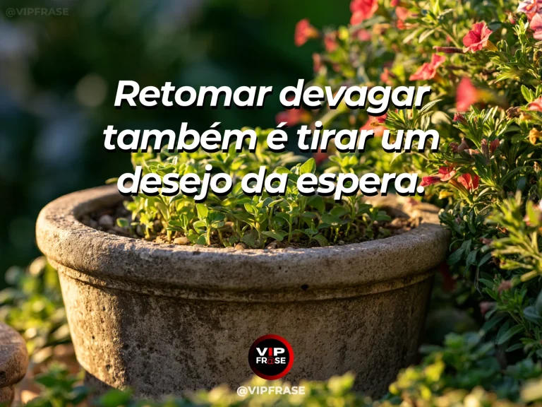 Mensagem sobre recomeço e reiniciar lentamente um desejo que estava guardado, com pequenos brotos entre pedras de um jardim florido ao amanhecer.