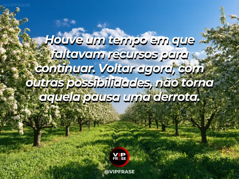Mensagem sobre recomeço e retomar depois de pausa causada por falta de recursos, com prateleira de ateliê com materiais recuperados e sementes florescendo.