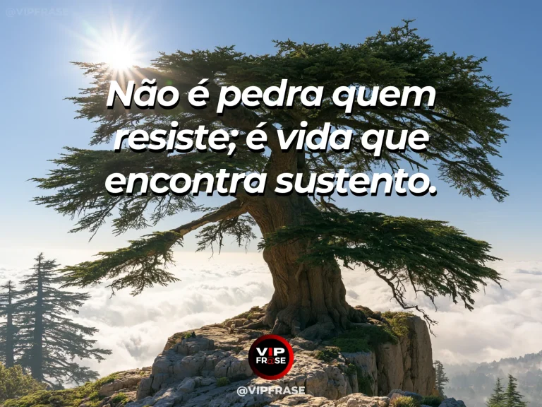 Frase de força sobre sem perder a sensibilidade, com cerejeira florida crescendo entre grandes rochas sobre o mar azul.