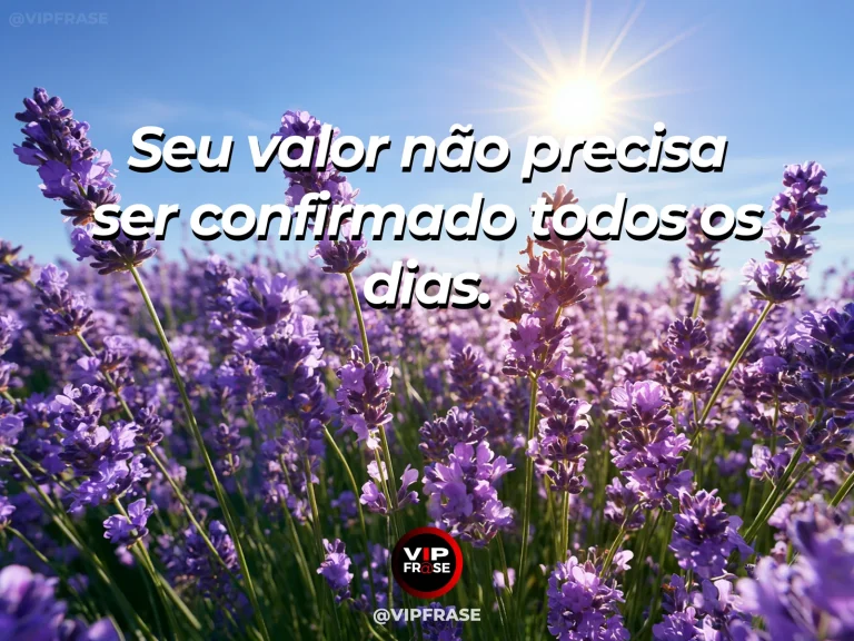 Frase de autoestima sobre self-worth without constant confirmation, com single flower glowing among many in warm light