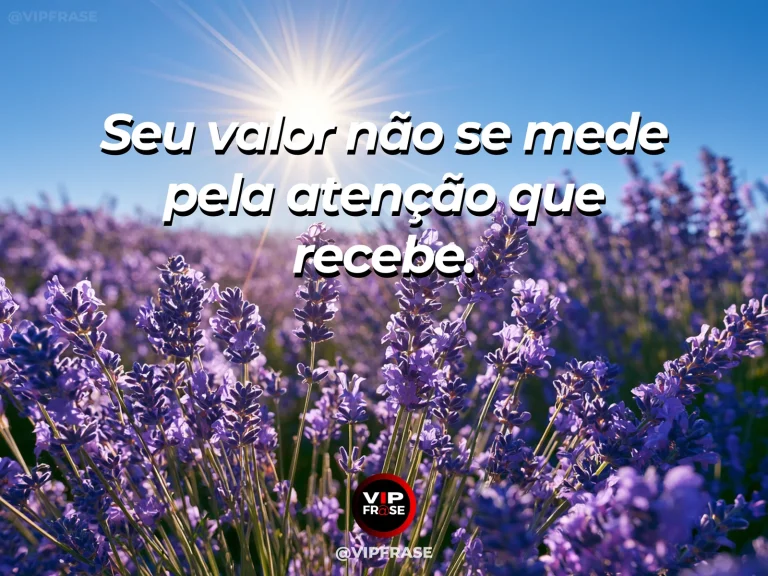 Frase de autoestima sobre self-worth beyond attention, com single bright flower in a large natural field