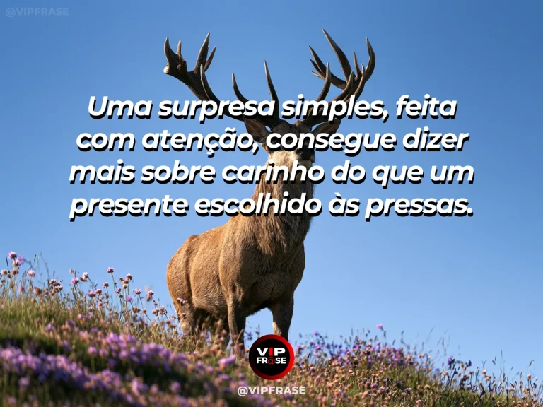 Arte com frase para status sobre carinho nas surpresas simples, com pequeno buquê de flores silvestres e cartão sobre mesa ensolarada.