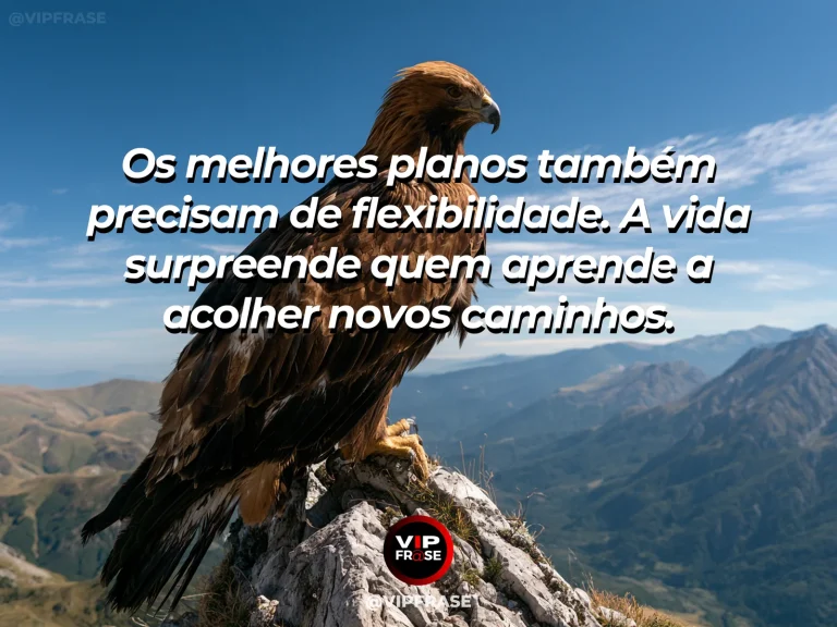 Arte com frase para status sobre flexibilidade nos planos, com trilhas diferentes se encontrando em campo de flores e colinas.