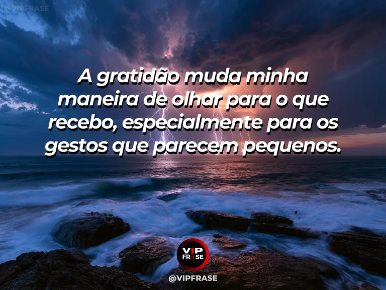 Arte com frase para status sobre gratidão pelos gestos discretos, com flores silvestres em jarra de vidro ao lado de janela ensolarada.