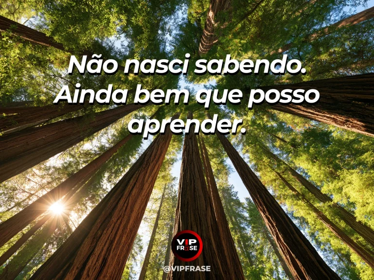Arte com frase para status sobre humildade para aprender, com caderno aberto e lápis na varanda ensolarada com jardim ao fundo.