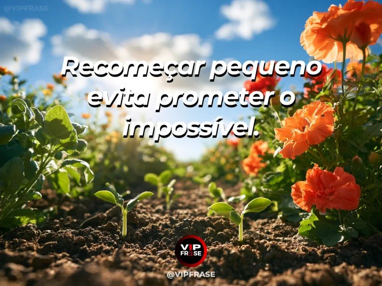 Frase sobre recomeço e um novo começo em passos possíveis, em cena de uma pequena muda verde recém-plantada em vaso amplo sobre mesa clara.