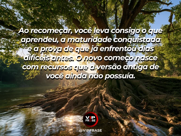 Mensagem de superação em brotos novos surgindo de árvore antiga em floresta luminosa, simbolizando recomeço com experiência acumulada.