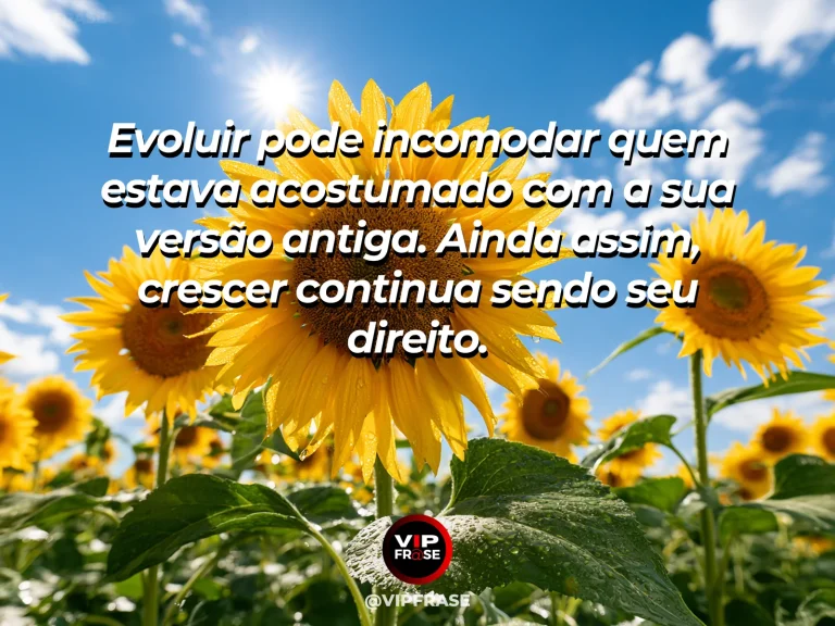Mensagem de superação em cenário natural sobre você pode mudar sem pedir desculpas por crescer.