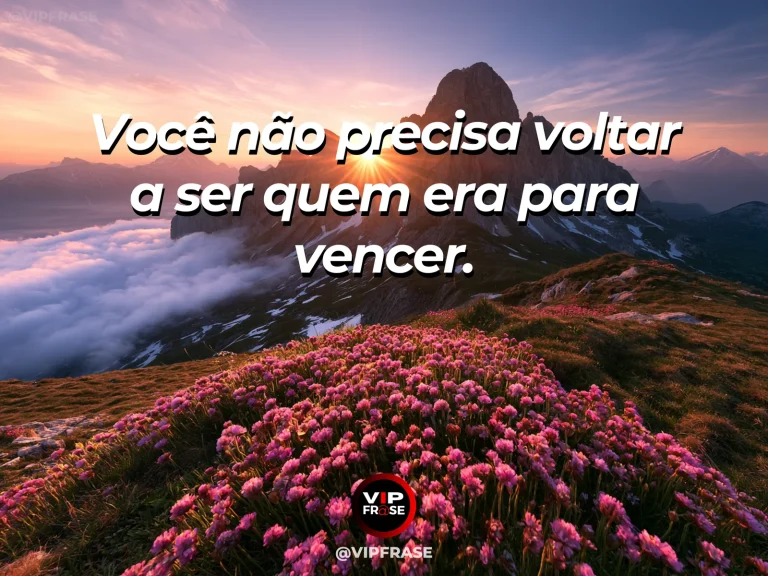 Mensagem de superação em borboleta em campo florido ao nascer do sol, simbolizando transformação sem retorno ao estado anterior.